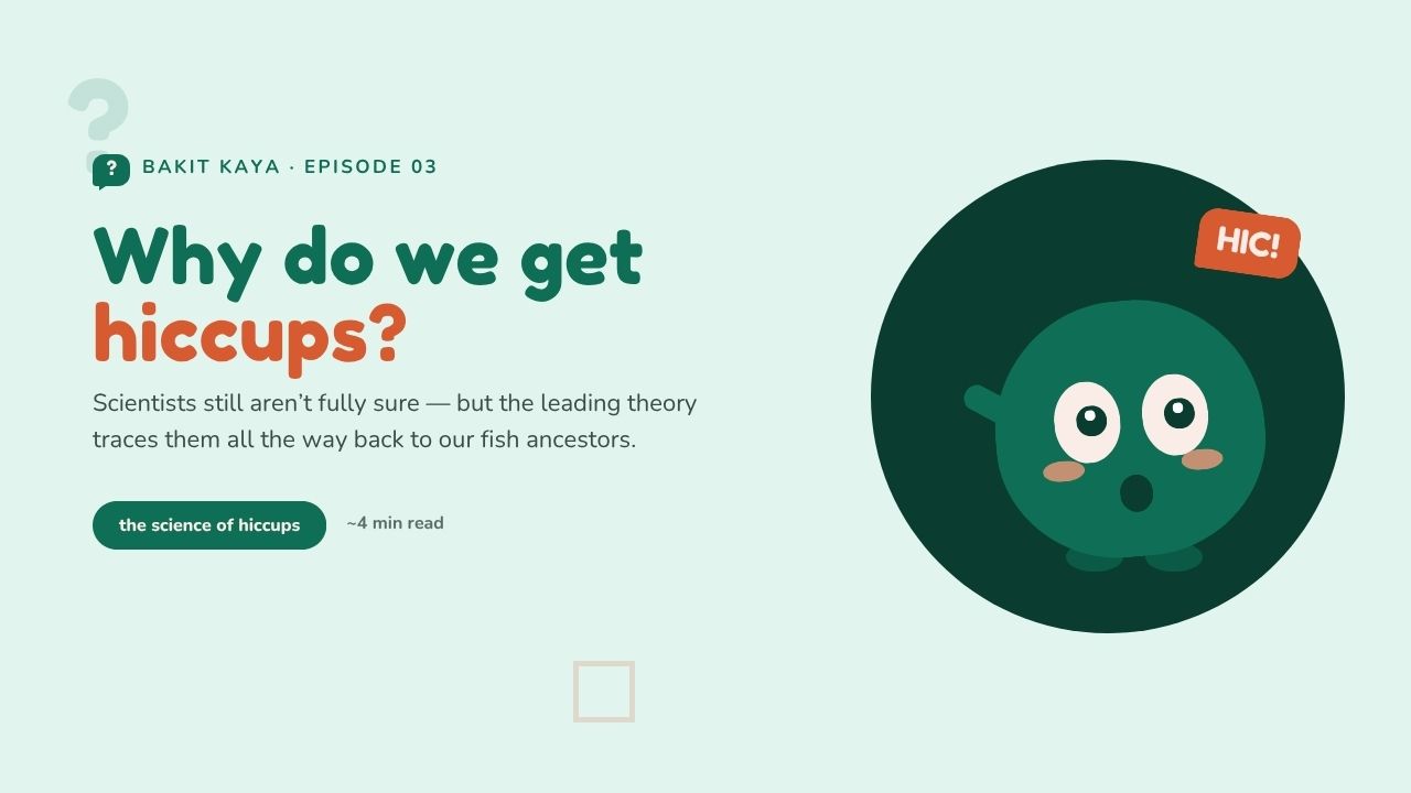 Why Do We Get Hiccups?