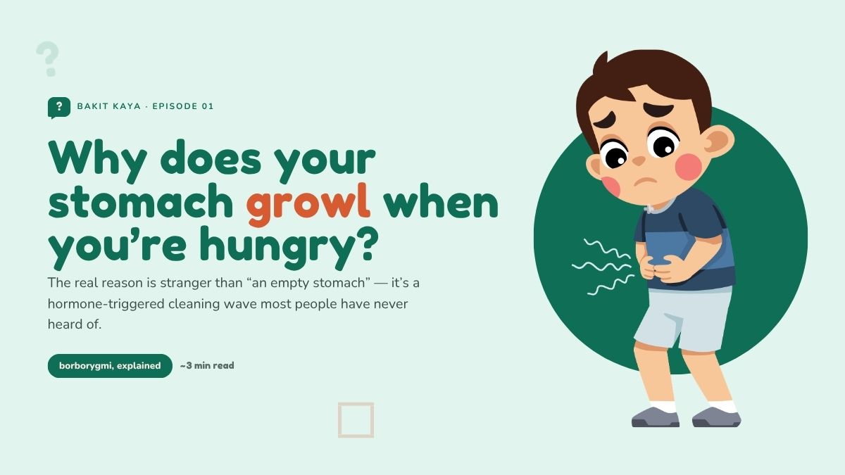 Why Does Your Stomach Growl When You’re Hungry?