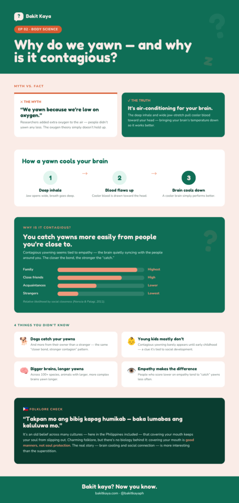 Infographic explaining why we yawn and why yawning is contagious: the oxygen myth versus the brain-cooling truth, a three-step diagram of how a yawn cools the brain, a chart showing people catch yawns more from those they're close to, four surprising facts about yawning, and a Filipino folklore myth-check